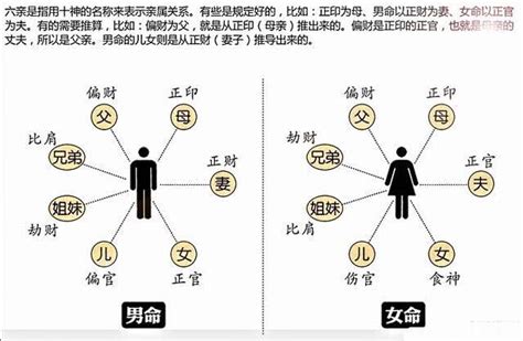 我生為食傷|八字十神代表什么？十神組合對命運有何作用？